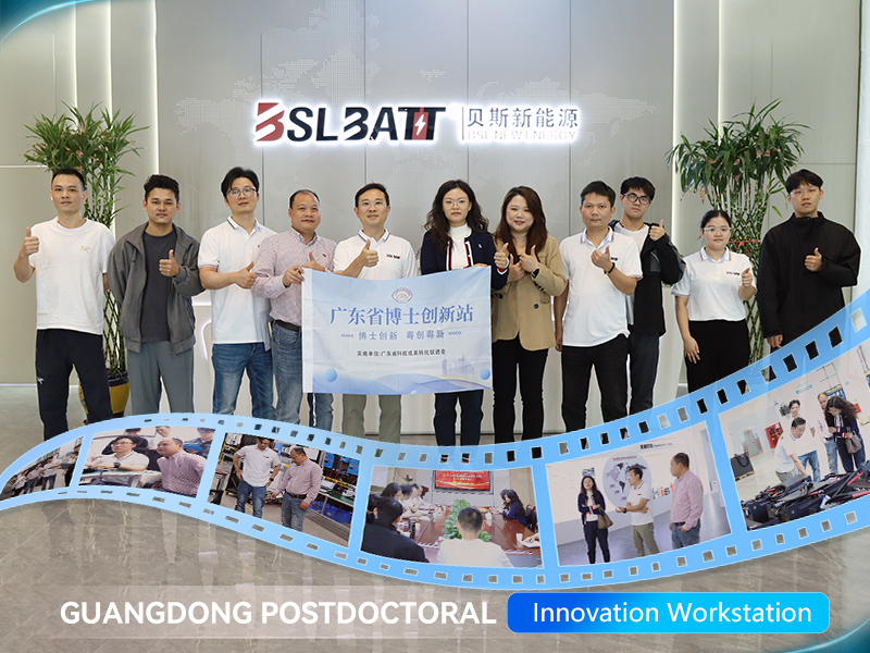 BSL Achieves Prestigious Recognition: Designated as a Guangdong Provincial Doctor Innovation Station for 2025